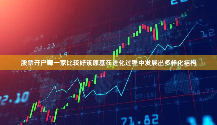 股票开户哪一家比较好该原基在进化过程中发展出多样化结构