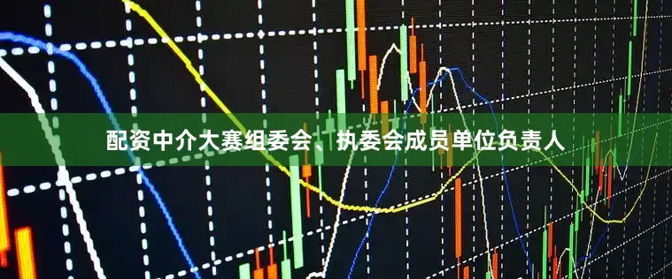 配资中介大赛组委会、执委会成员单位负责人